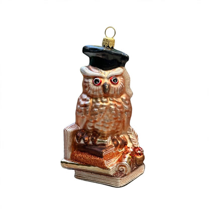 Weise Eule Glas Weihnachtskugel mit Doktorhut  von vorne